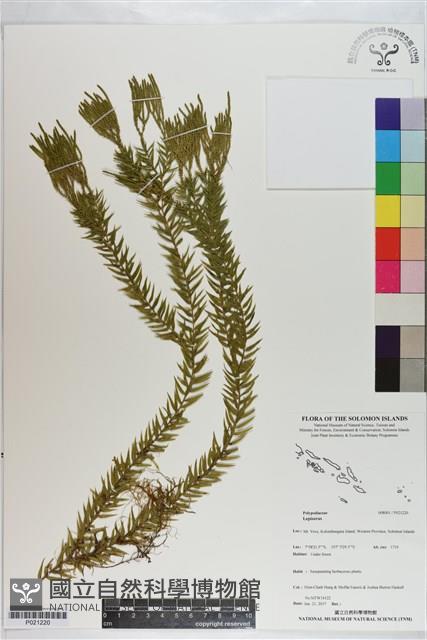 登錄號:P021220藏品圖，第1張