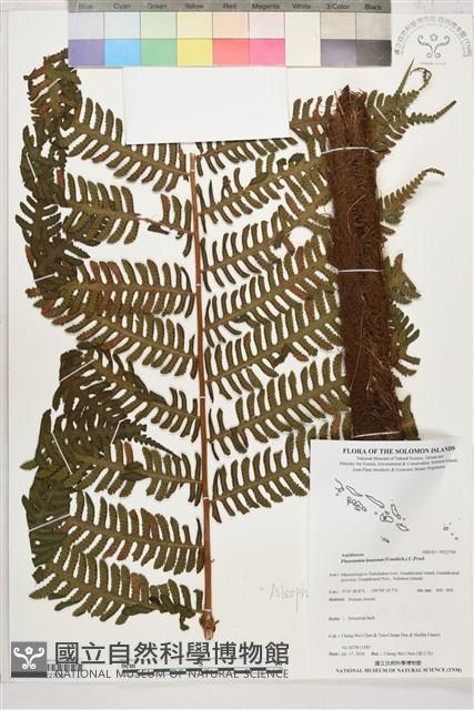 登錄號:P022700藏品圖，第1張