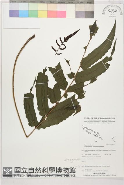 登錄號:P022560藏品圖，第1張