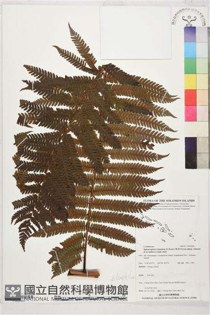 登錄號:P022660藏品圖，第1張