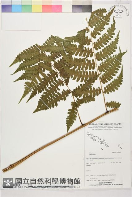 登錄號:P022621藏品圖，第1張