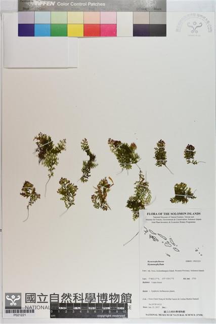 登錄號:P021221藏品圖，第1張