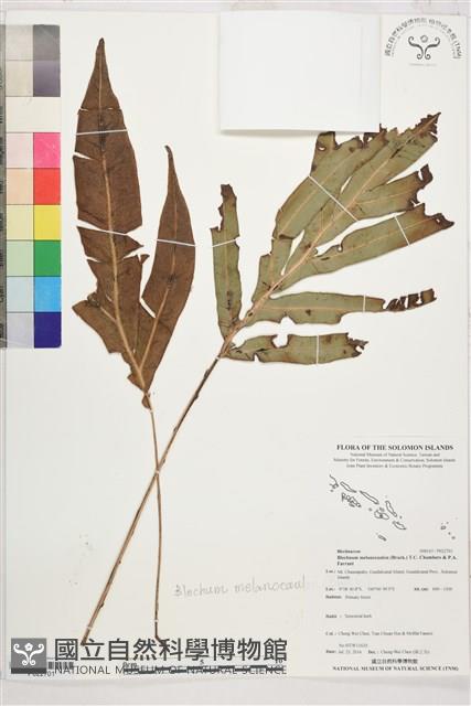 登錄號:P022701藏品圖，第1張