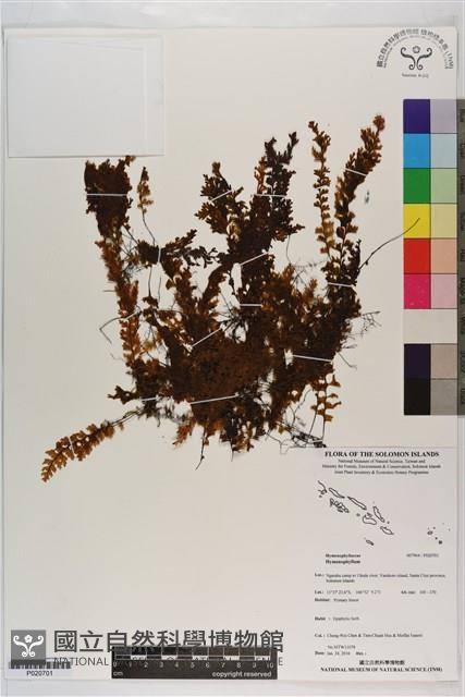 登錄號:P020701藏品圖，第1張