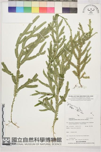 登錄號:P022601藏品圖，第1張