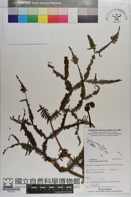 登錄號:P021201藏品圖，第1張