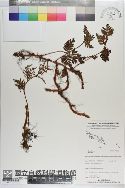 登錄號:P021211藏品圖，第1張