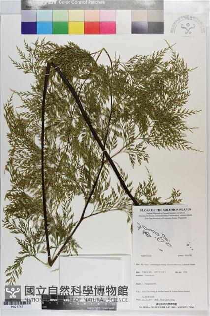 登錄號:P021741藏品圖，第1張