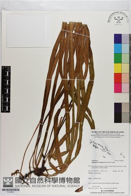 登錄號:P020641藏品圖，第1張