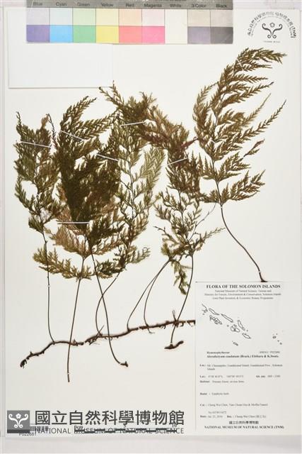 登錄號:P022681藏品圖，第1張