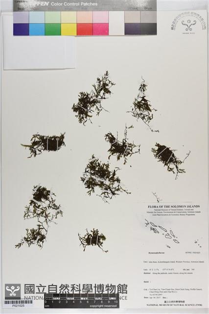 登錄號:P021025藏品圖，第1張