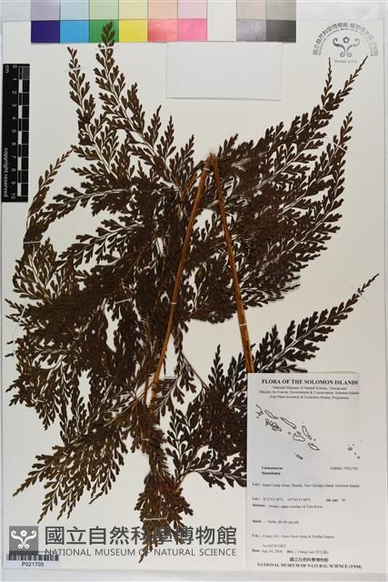 登錄號:P021705藏品圖，第1張