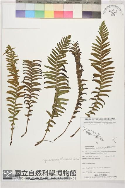 登錄號:P022605藏品圖，第1張