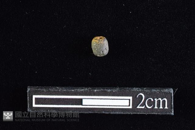 陶珠藏品圖，第1張