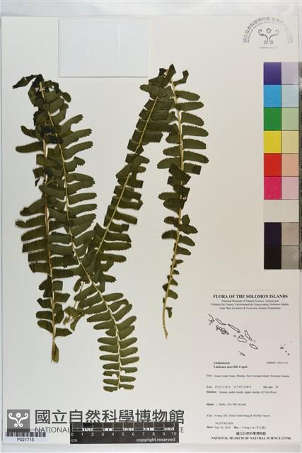 登錄號:P021715藏品圖，第1張