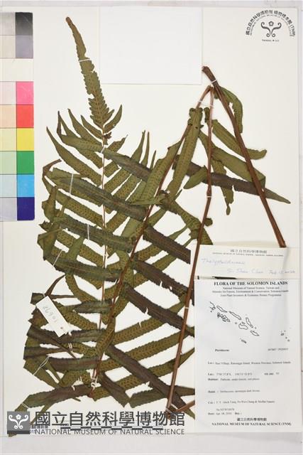 登錄號:P020015藏品圖，第1張