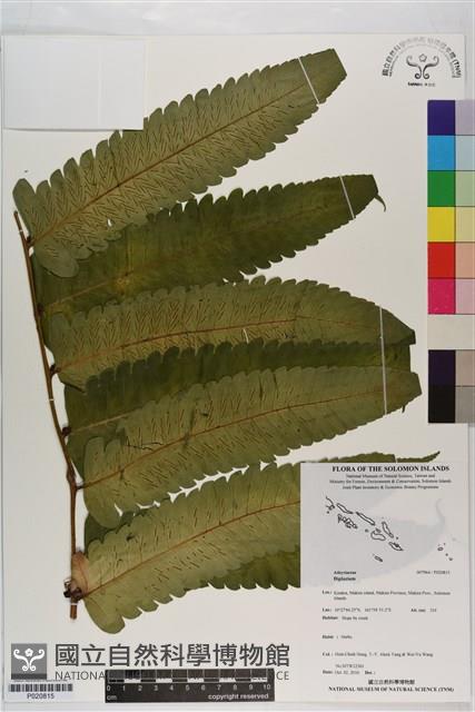 登錄號:P020815藏品圖，第1張