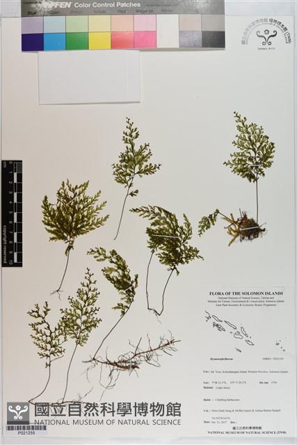 Accession Number:P021255 Collection Image