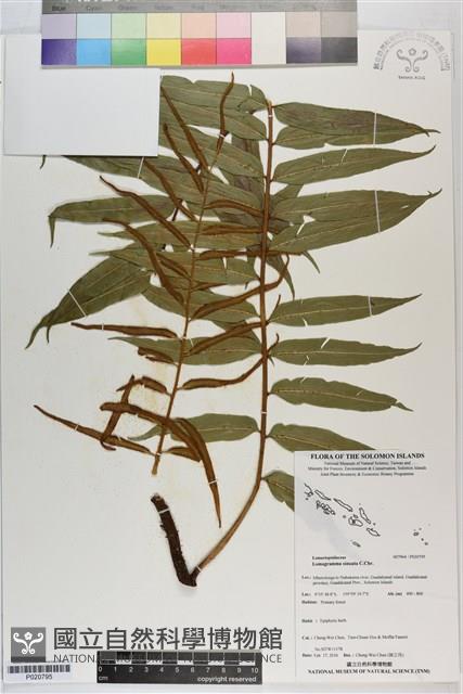 登錄號:P020795藏品圖，第1張