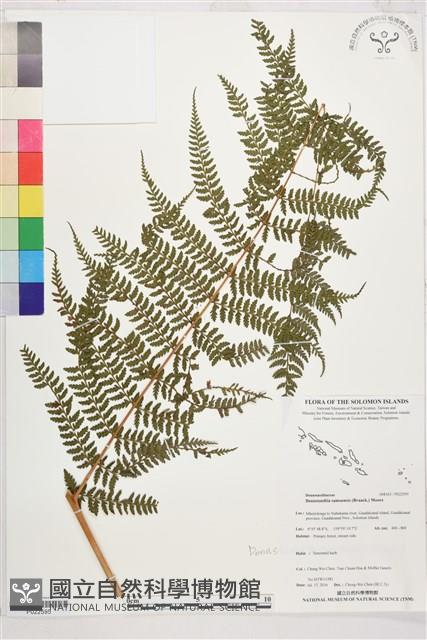 登錄號:P022595藏品圖，第1張