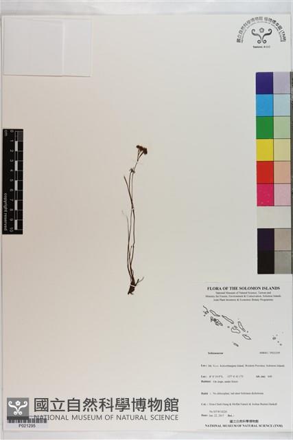 登錄號:P021295藏品圖，第1張