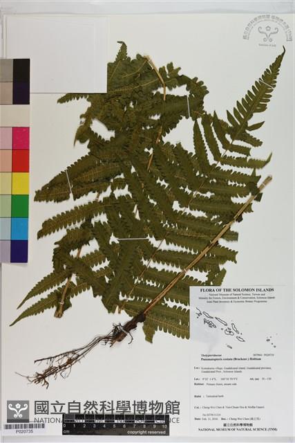 登錄號:P020735藏品圖，第1張