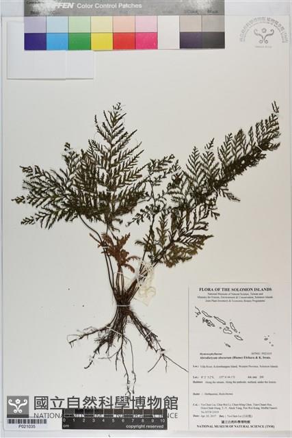登錄號:P021035藏品圖，第1張