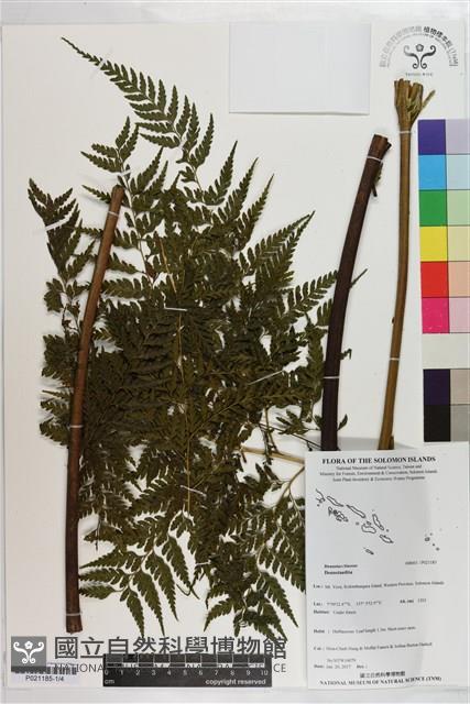 登錄號:P021185藏品圖，第1張