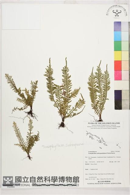 登錄號:P022685藏品圖，第1張