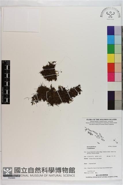 登錄號:P020685藏品圖，第1張