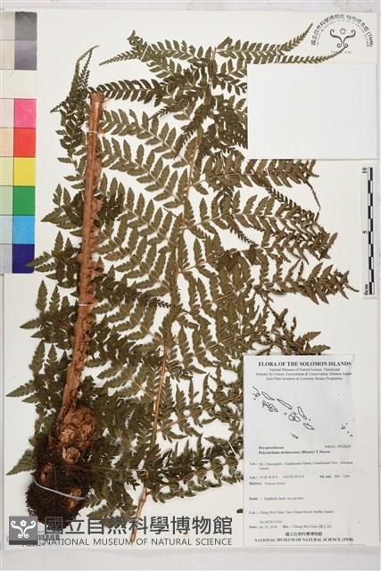 登錄號:P022624藏品圖，第1張