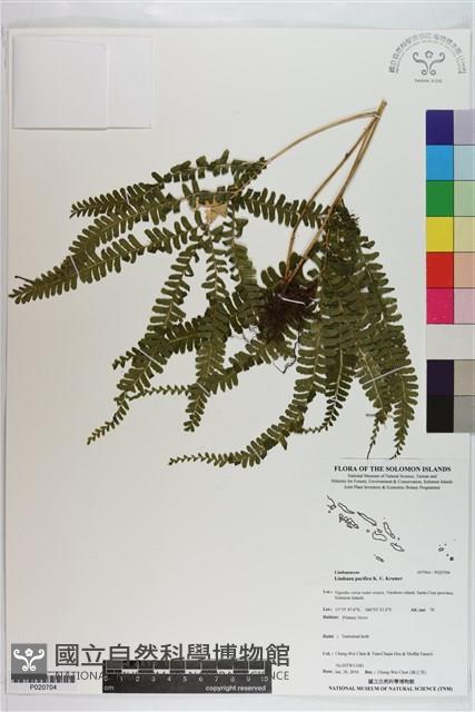 登錄號:P020704藏品圖，第1張