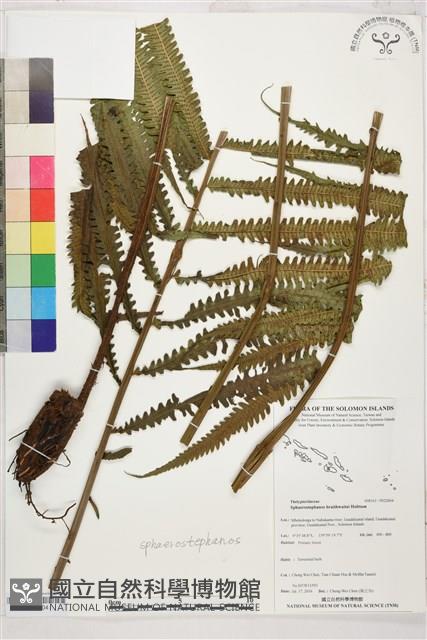 登錄號:P022604藏品圖，第1張