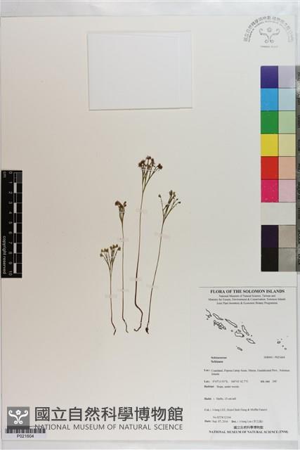 登錄號:P021604藏品圖，第1張