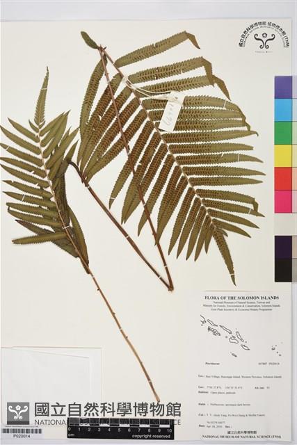 登錄號:P020014藏品圖，第1張