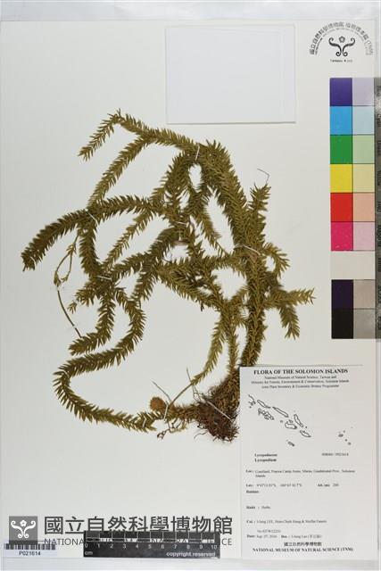 登錄號:P021614藏品圖，第1張