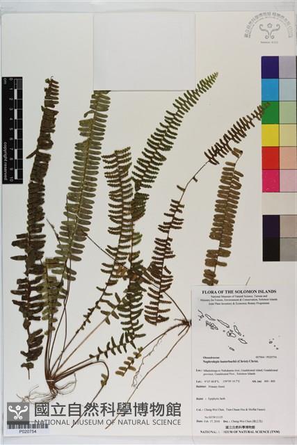 登錄號:P020754藏品圖，第1張