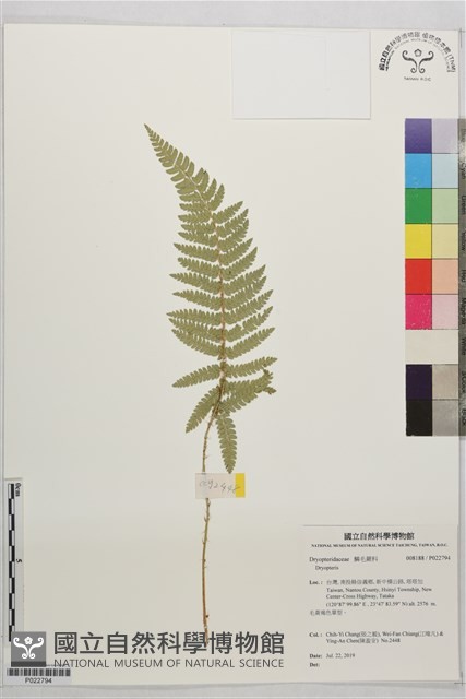 登錄號:P022794藏品圖，第1張