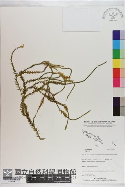 登錄號:P021294藏品圖，第1張