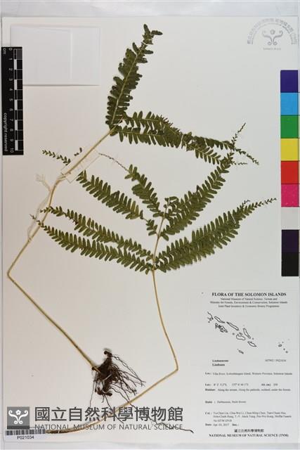 登錄號:P021034藏品圖，第1張