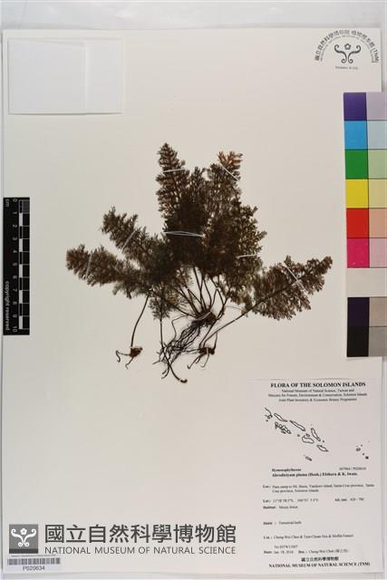 登錄號:P020634藏品圖，第1張