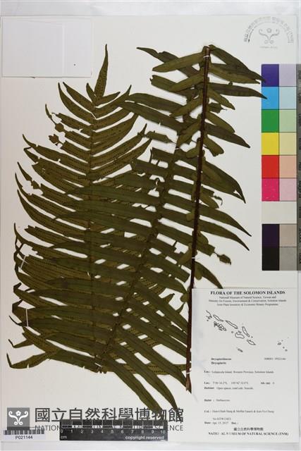 登錄號:P021144藏品圖，第1張