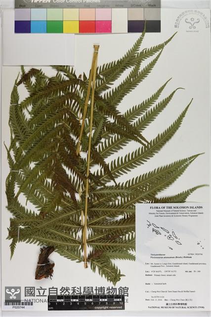 登錄號:P020744藏品圖，第1張