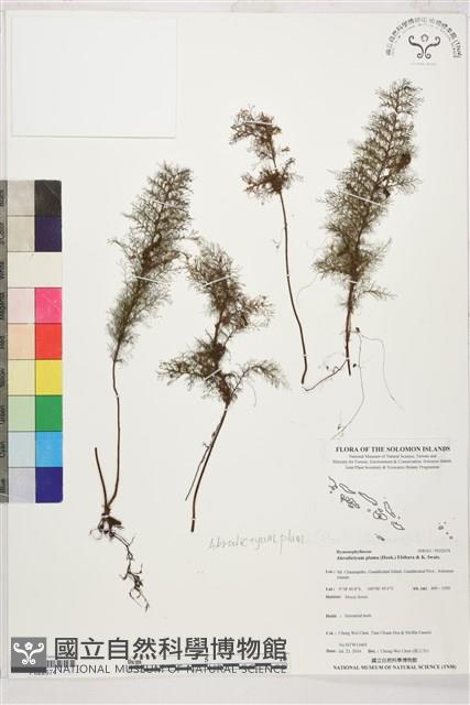 登錄號:P022674藏品圖，第1張