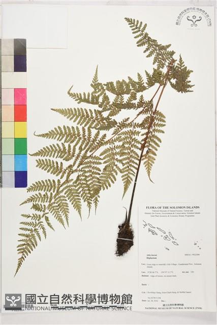 Accession Number:P022584 Collection Image