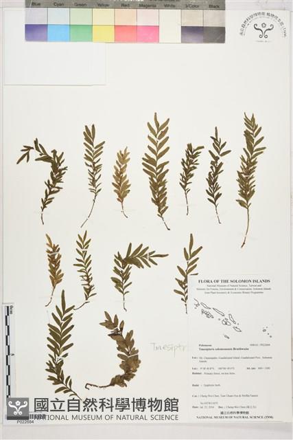 登錄號:P022684藏品圖，第1張