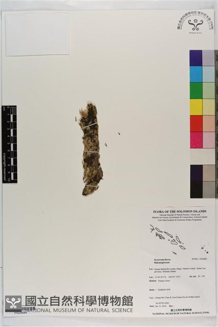 登錄號:P020684藏品圖，第1張