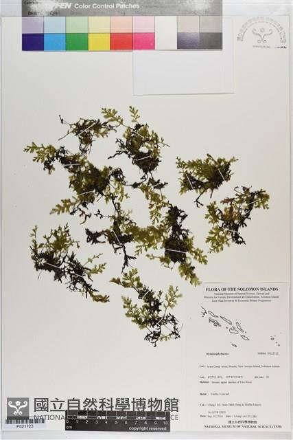 登錄號:P021723藏品圖，第1張