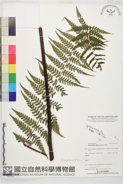 登錄號:P022623藏品圖，第1張