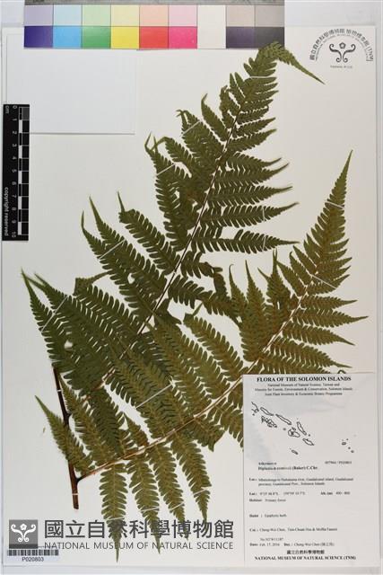 登錄號:P020803藏品圖，第1張